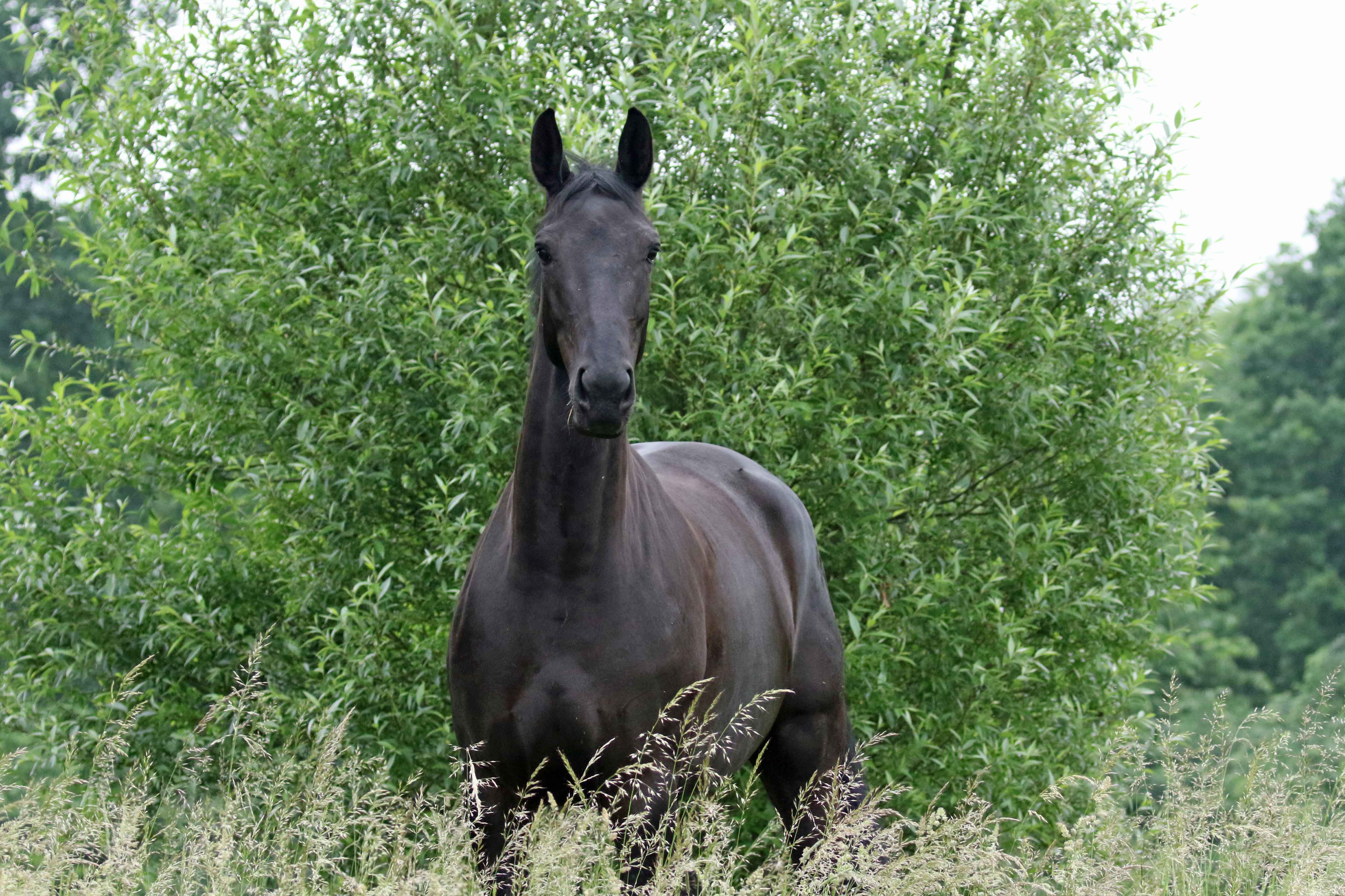 Hé hallo, wat doe jij daar?